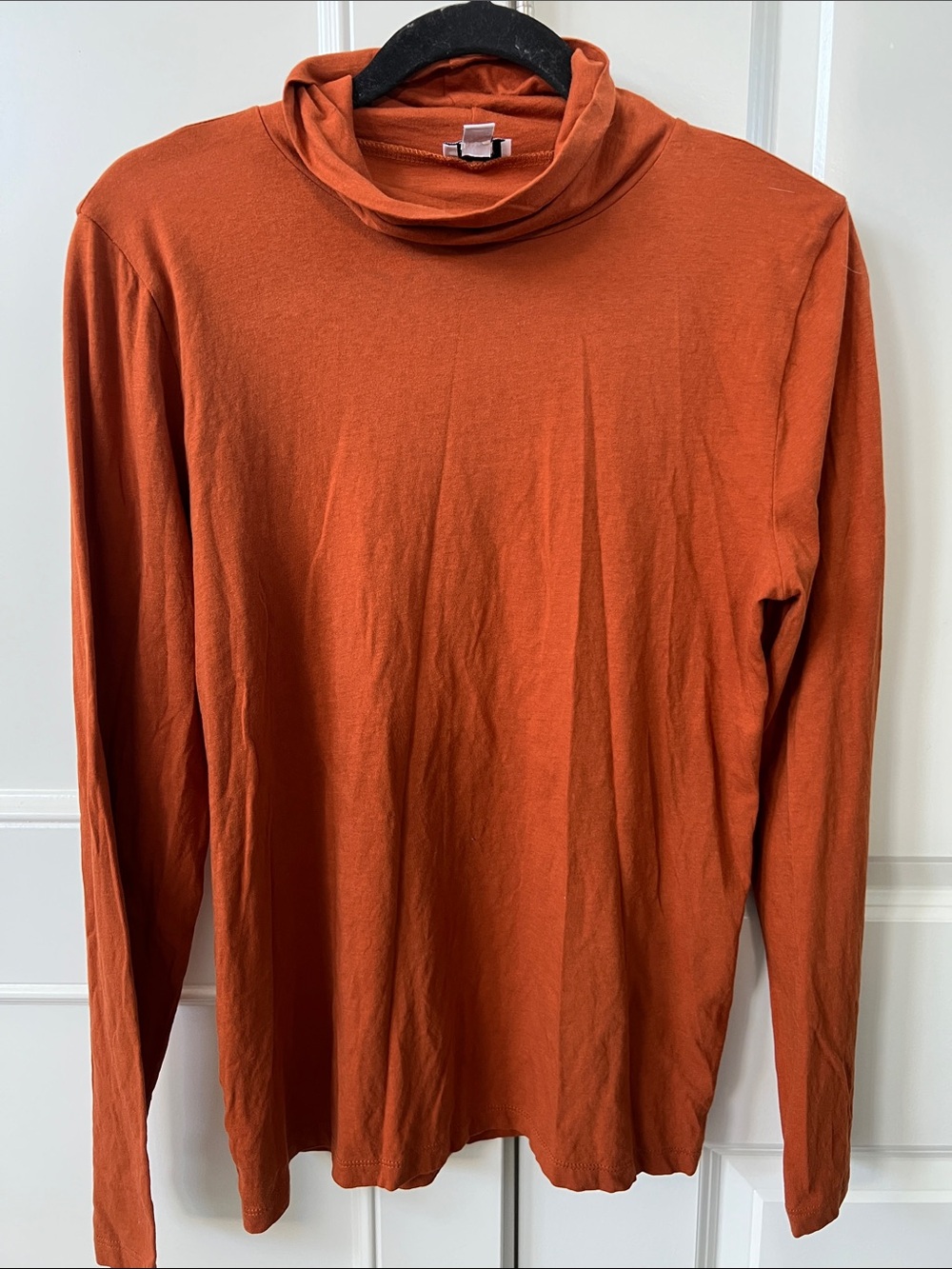 Jcrew Women's Long-Sleeve Turtleneck Top in Rust